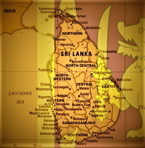 Sri Lankan Cuisine